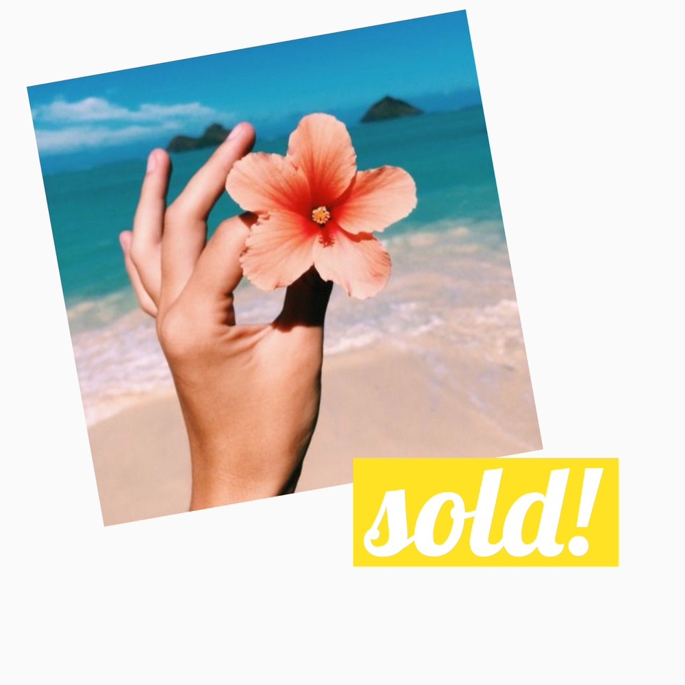 🐚 thank you!